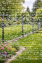 3D Stabmattenzaun Sets 1,73m-50m l 20 Matten - 21 Pfosten-Zum Einbetonieren-Anthrazit Ral 7016